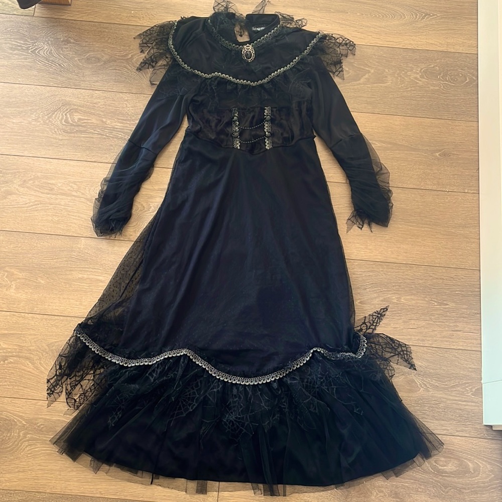 Halloween costume girls M (10-12) like new